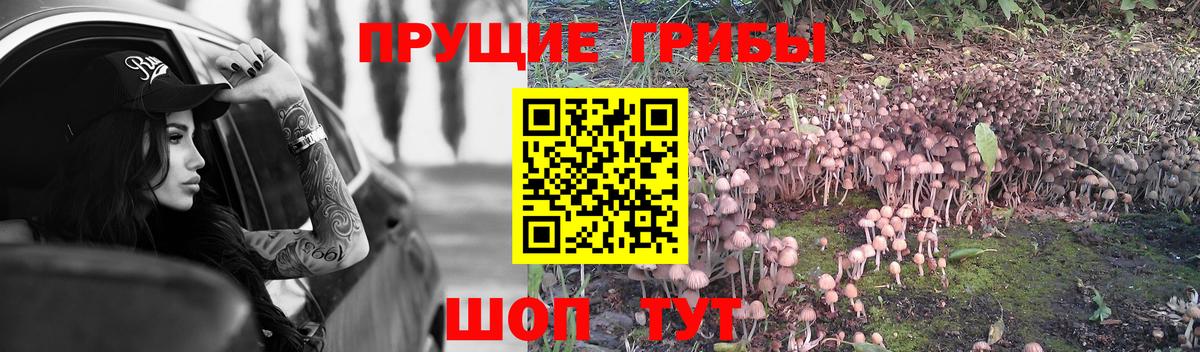 Псилоцибиновые грибы мухоморы  Псилоцибиновые грибы ЛСД  Вход с VPN  Оренбург 