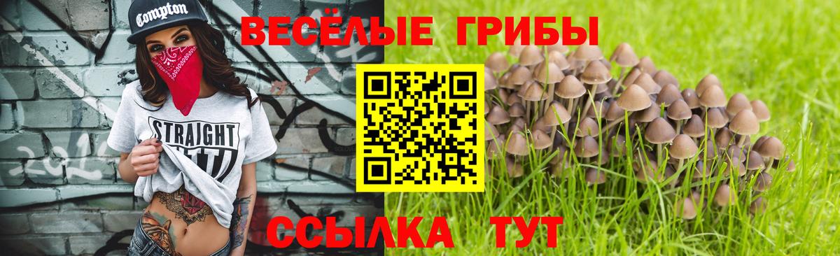 Галлюциногенные грибы MAGIC MUSHROOMS Оренбург